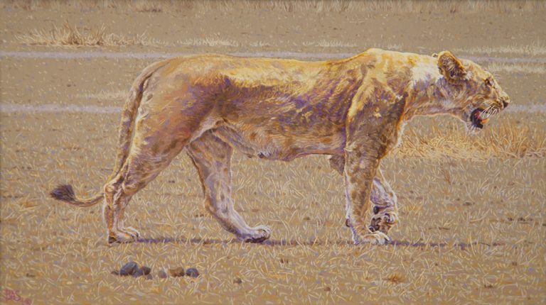 Lioness Painting - African Queen