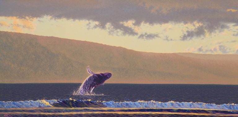 Dolphin Painting -Lanai Backdrop