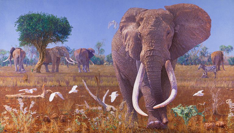 Satao Big Tusker of Tsavo, Kenya.