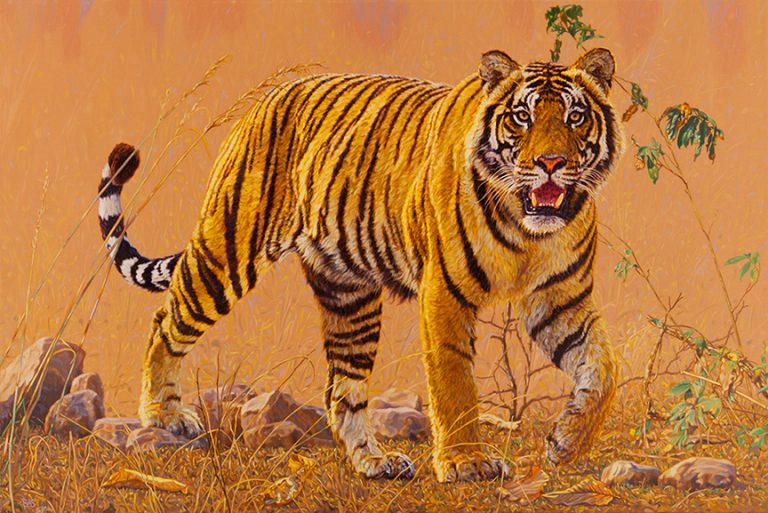 Tiger Painting – Tiger Patrol